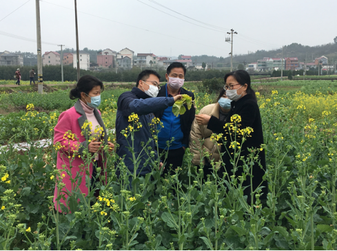 1584012222483378.png image.png