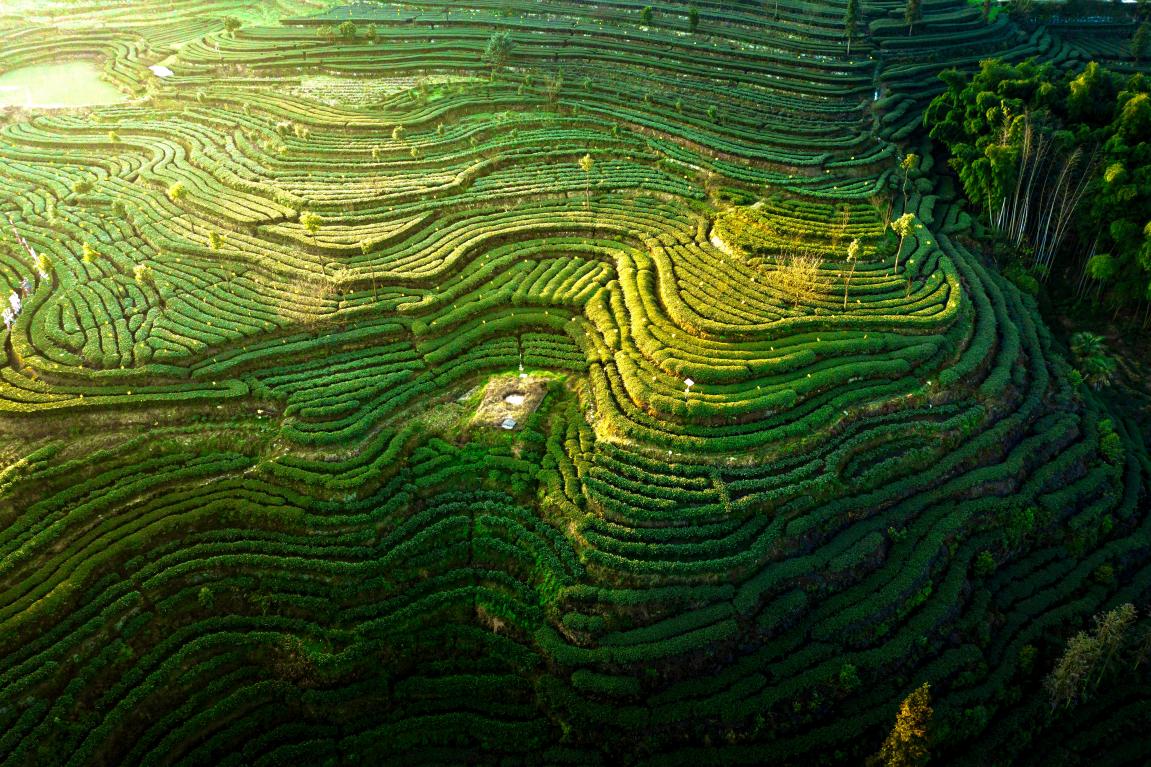 4161644764434_.pic_hd