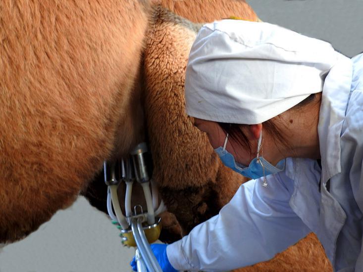 微信图片_20220325110202