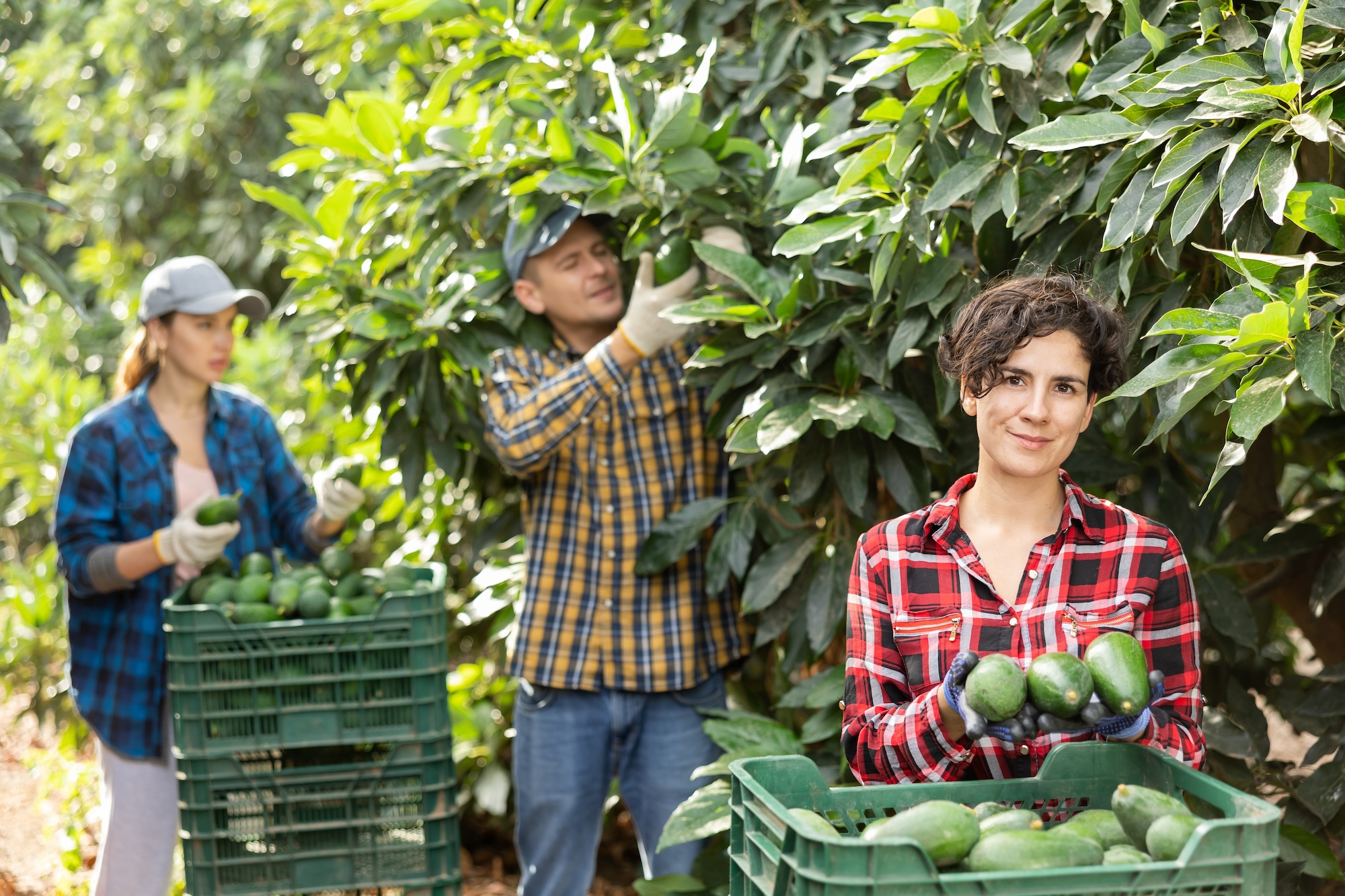 shutterstock_2249807399.jpg